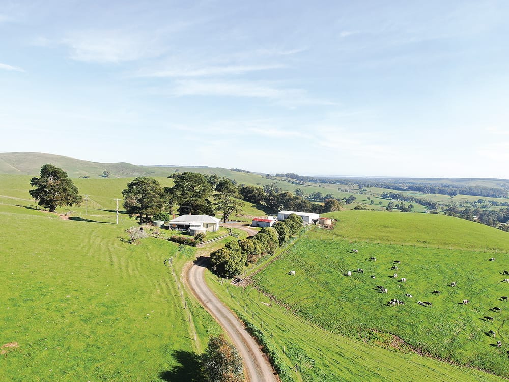 Classic Kernot lifestyle and quality grazing post image