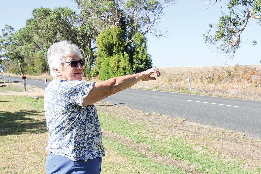 Cape Barren Geese fly north for the summer to Corinella post image