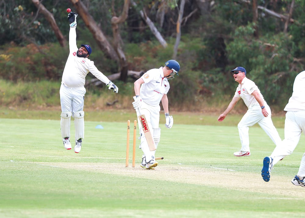 OMK outclass the Cobras post image