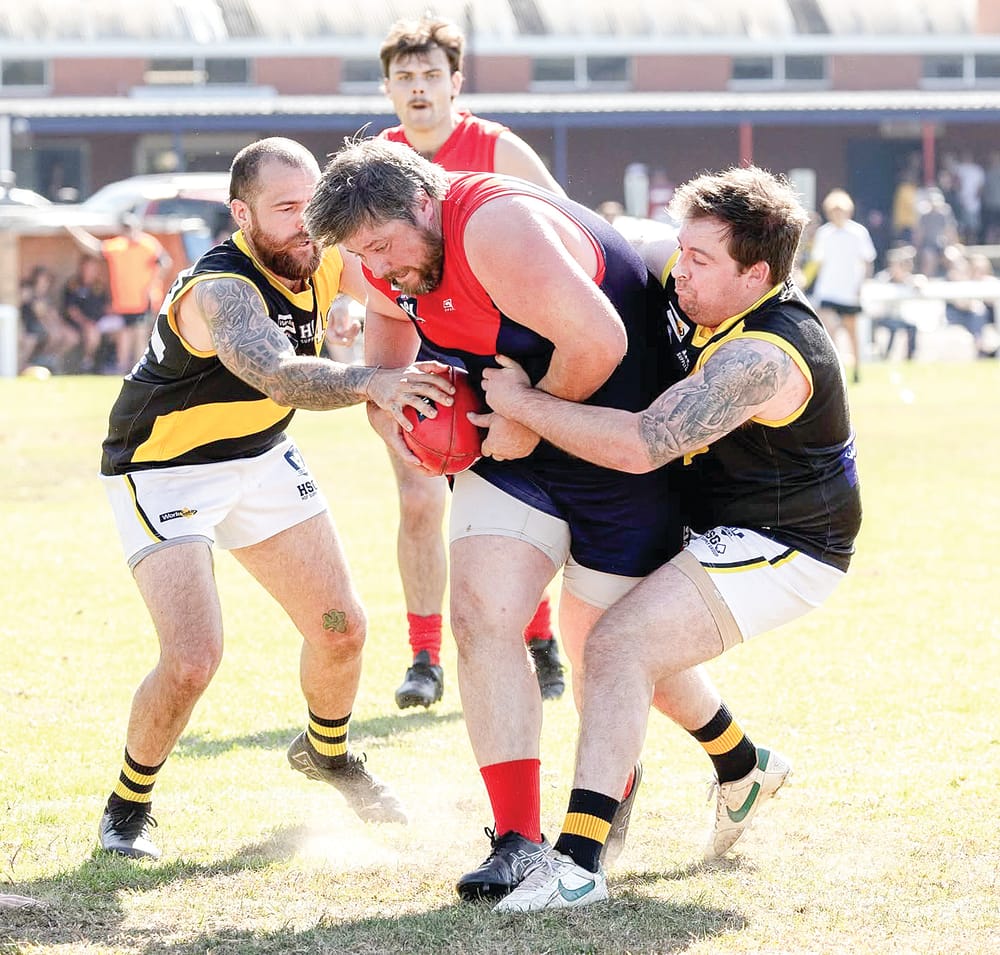 Demons double down on Tigers post image