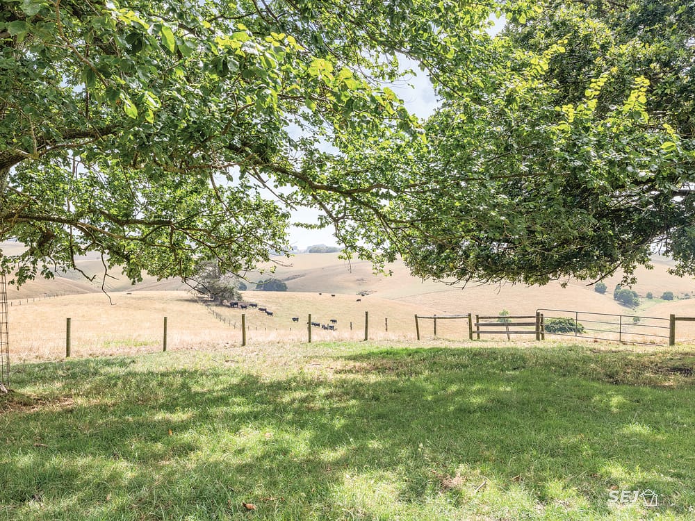 Prime breeding/fattening haven post image