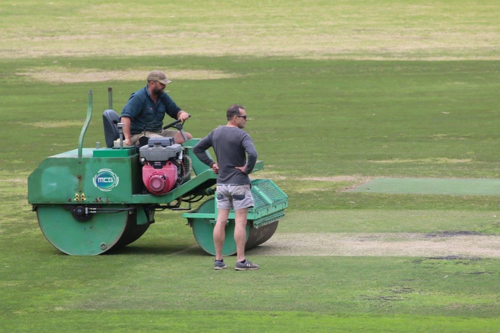 Looking better for Saturday cricket post image