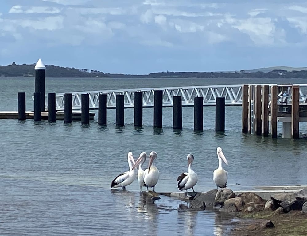 New Rhyll Boat Ramp’s 'a beauty', they say post image
