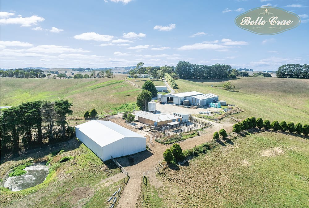 Exceptional South Gippsland dairy farm opportunity – “Belle Crae” post image