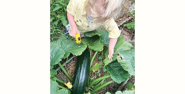 Exhibit shed returns to Foster Show post image