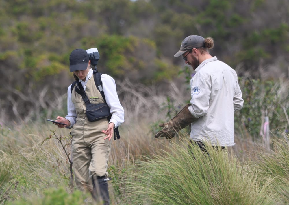 52 ‘sold out’ nights as penguin visits continue to climb post image