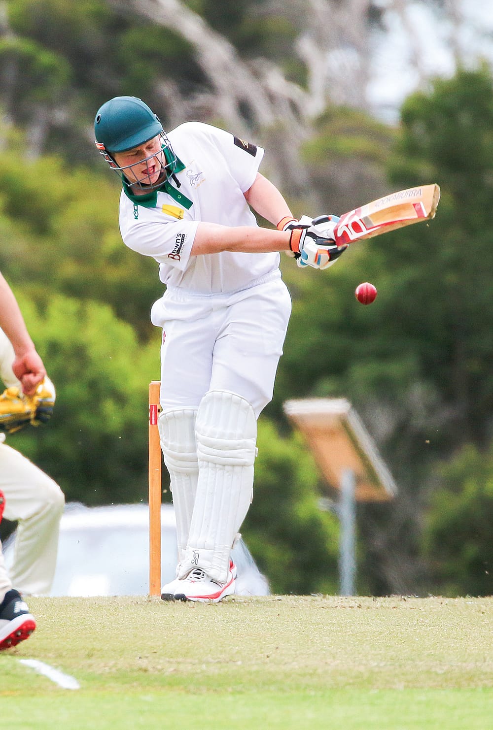 Around the Grounds post image