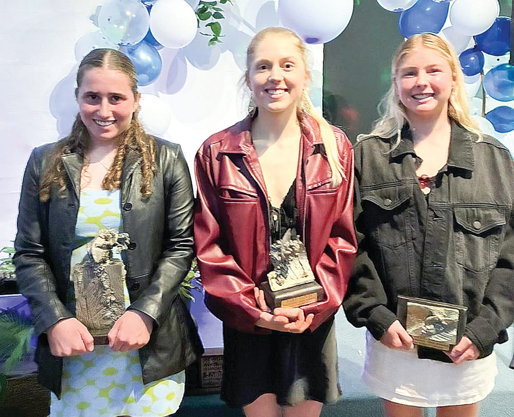 Phillip Island Boardriders celebrate huge year at presentation night post image