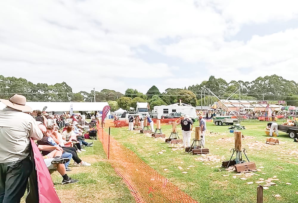 Precise location of Foster Skatepark to be determined post image