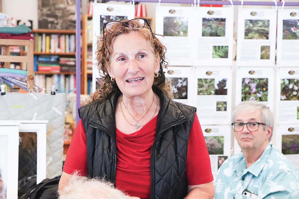 Hopes for ongoing bus services in Venus Bay and Sandy Point post image