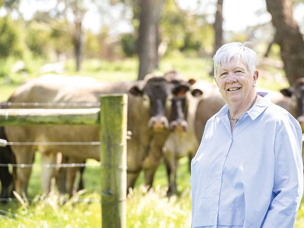 Rushed job – VFF calls on Bass Coast to defer rates review post image