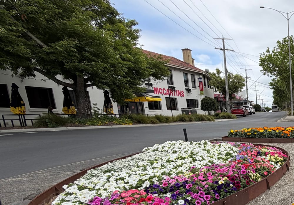 Christmas shock for shire’s outdoor dining venues post image