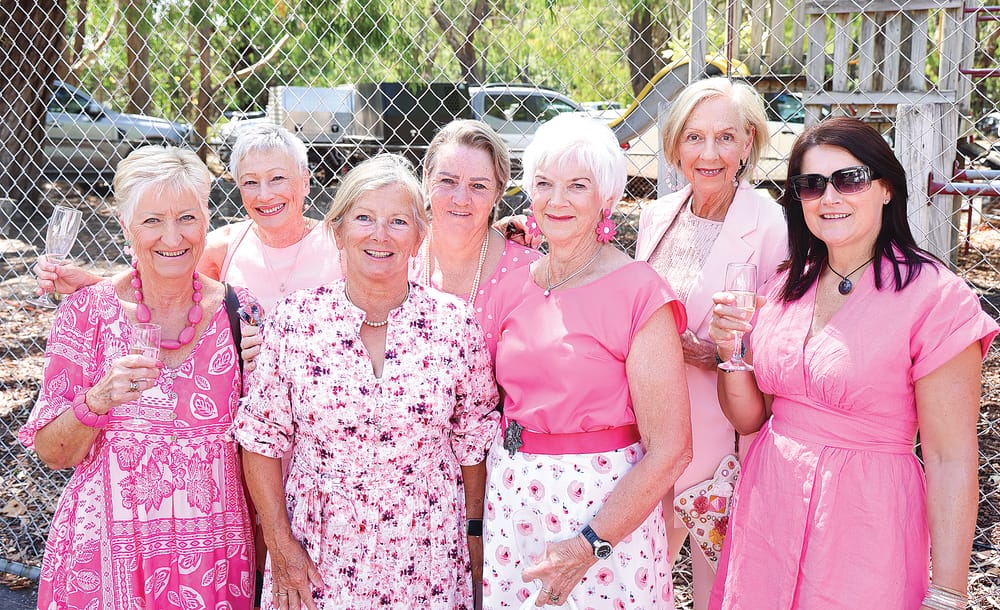 Oohs and aahs as Glenn McGrath joins Pink Stumps Day post image