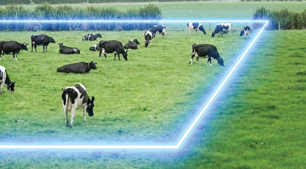 Mirboo North farmers among Victoria's first to adopt virtual fencing post image