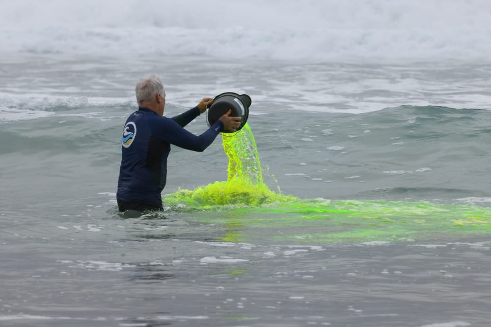 Green dye used to show the power of rips at Cape post image