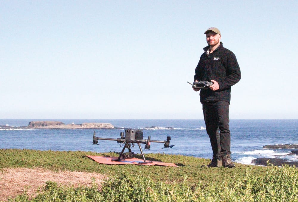 Thermal drones boost detection of entangled seals post image