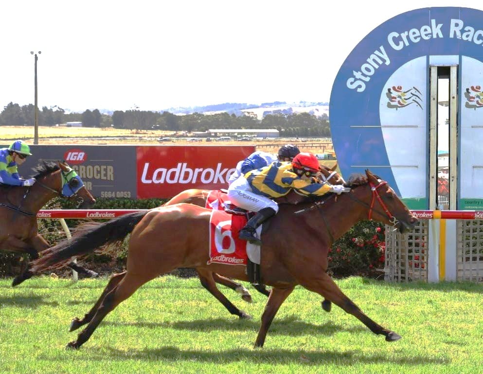 International flavour to ‘triple dead heat’ day at Stony Creek post image