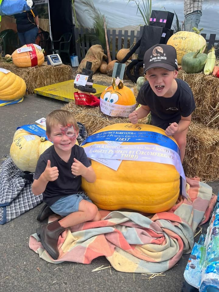 Record entries and a big crowd for 2026 Foster Show post image