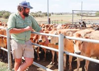 Virtual fencing and herding technology welcomed post image