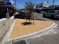 The problem with Wonthaggi’s new trees and it's not what you think post image