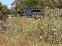 Community urged to report killer roadside vegetation post image