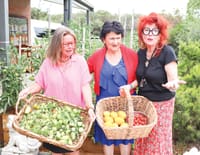 Boosted food program at  Venus Bay Community Centre post image