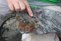 Searching for Inverloch’s elusive dinosaurs post image