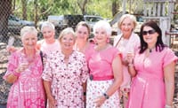 Oohs and aahs as Glenn McGrath joins Pink Stumps Day post image