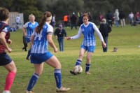 Knights searching for coach to continue women's dynasty post image