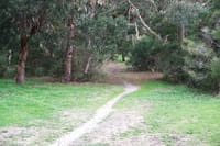 Alternative route proposed  for Surf Parade bike track post image