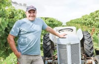 Harvest now underway at The Gurdies winery post image