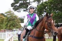 Six wins in a row for Woolamai Horse of the Year Magnardo post image