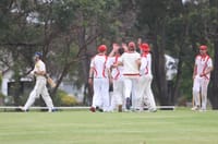 Wightman snares crucial Club wicket and the rest tumble post image