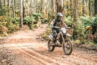 Riders reminded to stay on track as autumn trail bike season begins post image