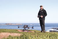 Thermal drones boost detection of entangled seals post image