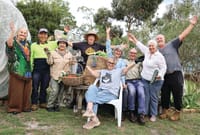 Living lightly in small spaces with simple no-dig gardening post image