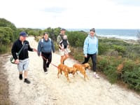 San Remo walks tall with $73,847 for 'the Kids' post image