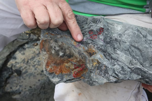 Searching for Inverloch’s elusive dinosaurs post image