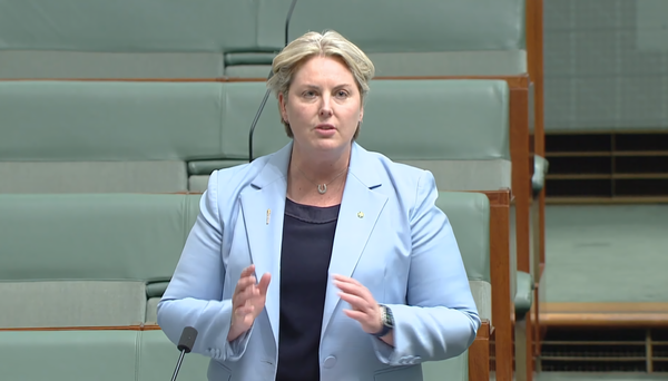 Aldred named co-chair of illegal tobacco taskforce after Inverloch vape raid post image