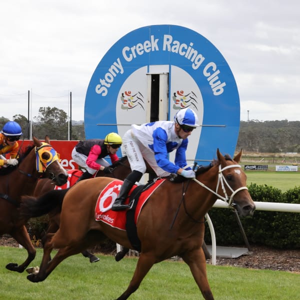 Country cups king Station One wins the Stony Creek Cup post image