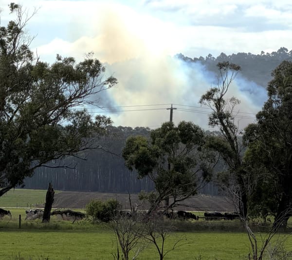 Fire Danger Period ends in Bass Coast, South Gippy on April 7 post image