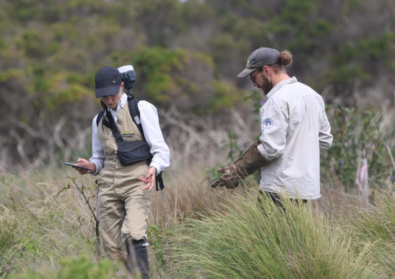 52 ‘sold out’ nights as penguin visits continue to climb post image