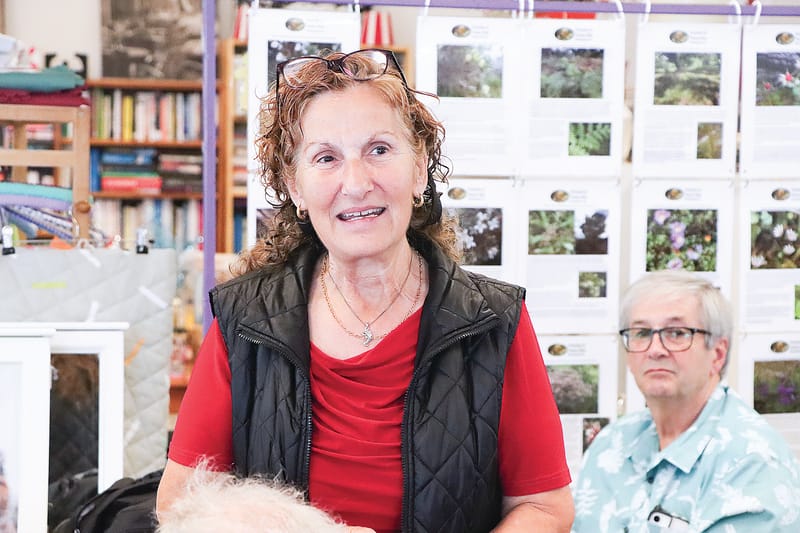 Hopes for ongoing bus services in Venus Bay and Sandy Point post image