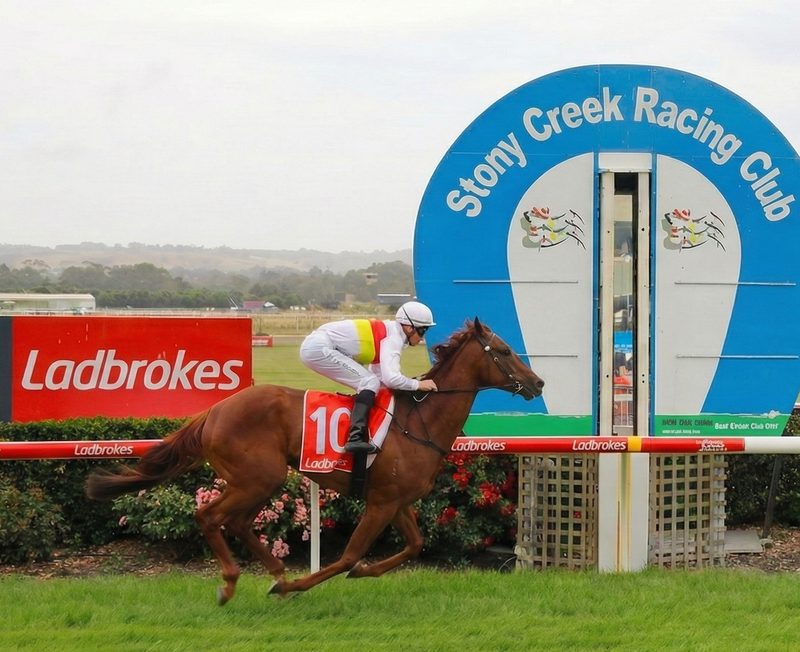 Treble for Carleen Hefel on fun racing day at Stony Creek post image