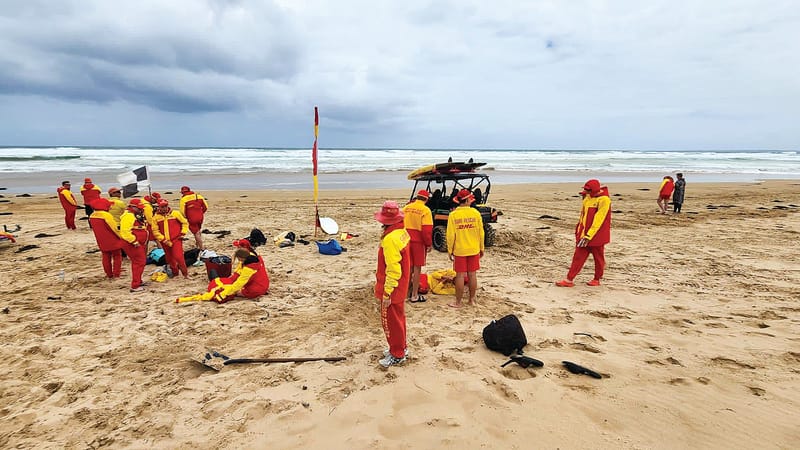 All-Terrain Vehicles – an essential vehicle for Venus Bay SLSC patrol post image