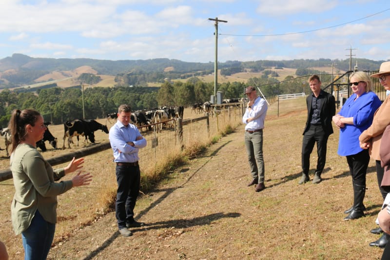 Virtual fencing technology has been given the green light post image