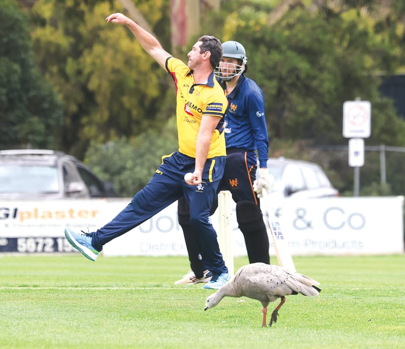 Around the grounds post image