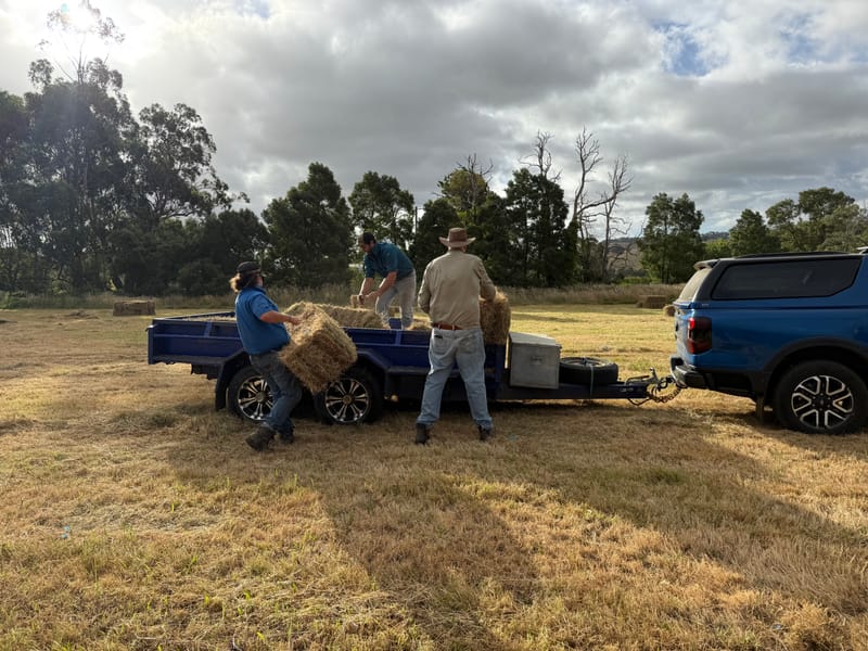 Help Strzelecki Group support those hit by fires post image