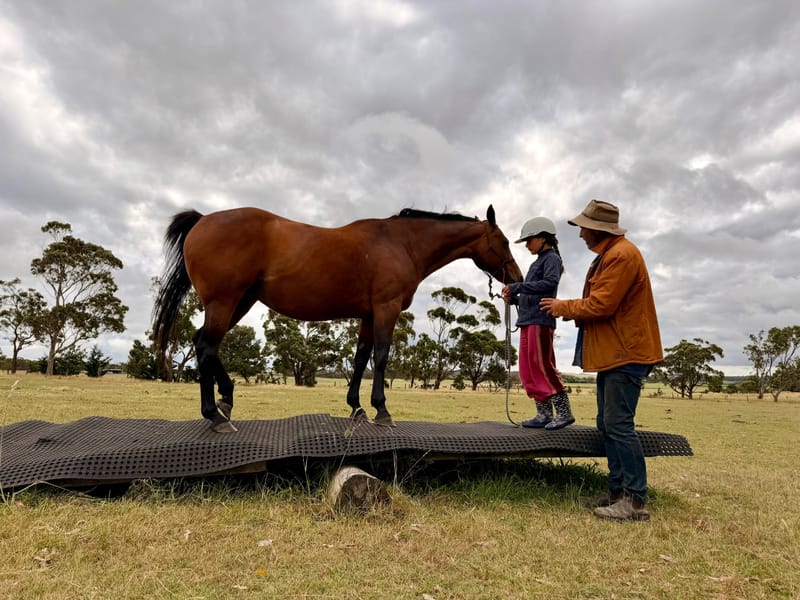 A natural method to horsemanship; ask less, receive more post image