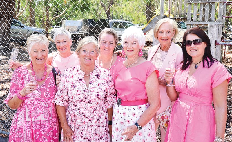 Oohs and aahs as Glenn McGrath joins Pink Stumps Day post image